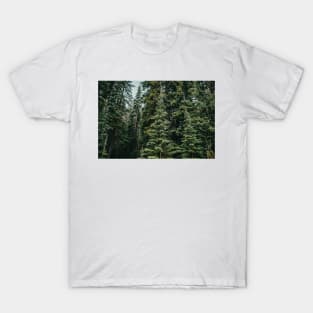 Alpine Evergreen Forest in the Mountains in Summer T-Shirt